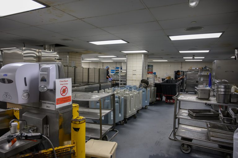 A commercial kitchen features metal prep tables, rolling carts, and hand-washing stations.
